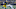 Michigan football