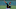 Oakland Athletics
