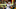 Aaron Dobson Patriots Aaron Dobson Patriots