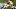 Kansas City Chiefs Kansas City Chiefs