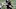 Brian Hill, Atlanta Falcons (Photo by Kevin C. Cox/Getty Images)