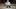 Toronto Maple Leafs Toronto Maple Leafs