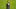 FC Bayern Munich FC Bayern Munich