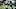 NFL: AFC Wild Card-Oakland Raiders at Houston Texans