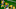 Mexico Cup trivia Mexico Cup trivia