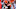 Cleveland Browns Cleveland Browns
