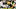 Green Bay Packers (Photo by Christian Petersen/Getty Images) Green Bay Packers (Photo by Christian Petersen/Getty Images)