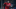 Sheyi Ojo Liverpool Sheyi Ojo Liverpool