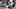 FOXBORO, MA – DECEMBER 16: Chad Pennington (Photo by Jim Rogash/Getty Images) FOXBORO, MA – DECEMBER 16: Chad Pennington (Photo by Jim Rogash/Getty Images)