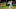 (Photo by Justin Berl/Getty Images) – Los Angeles Dodgers (Photo by Justin Berl/Getty Images) – Los Angeles Dodgers