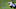 GLENDALE, ARIZONA – SEPTEMBER 27: Wide receiver Kenny Golladay #19 of the Detroit Lions is tackled after a reception against the Arizona Cardinals in the NFL game at State Farm Stadium on September 27, 2020, in Glendale, Arizona. The Lions defeated the Cardinals 26-23. (Photo by Christian Petersen/Getty Images) GLENDALE, ARIZONA – SEPTEMBER 27: Wide receiver Kenny Golladay #19 of the Detroit Lions is tackled after a reception against the Arizona Cardinals in the NFL game at State Farm Stadium on September 27, 2020, in Glendale, Arizona. The Lions defeated the Cardinals 26-23. (Photo by Christian Petersen/Getty Images)