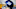 New York Giants. New York Giants.