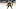 Boston Bruins Boston Bruins