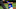 Cyndi Chambers Year In Pictures 2022; Florida Cyndi Chambers Year In Pictures 2022; Florida