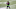 Chicago Bears, Russell Wilson Chicago Bears, Russell Wilson