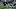 SOUTH BEND, IN ā NOVEMBER 04: Brandon Wimbush (Photo by Jonathan Daniel/Getty Images) SOUTH BEND, IN ā NOVEMBER 04: Brandon Wimbush (Photo by Jonathan Daniel/Getty Images)