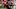 Cleveland Browns Cleveland Browns