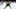 Boston Bruins, David Pastrnak #88 Boston Bruins, David Pastrnak #88