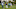 DraftKings PGA DraftKings PGA