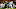 Xavier Worthy, Texas football Xavier Worthy, Texas football