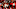TAMPA, FLORIDA – DECEMBER 29: Matt Ryan #2 of the Atlanta Falcons scrambles during a game against the Tampa Bay Buccaneers at Raymond James Stadium on December 29, 2019 in Tampa, Florida. (Photo by Mike Ehrmann/Getty Images) TAMPA, FLORIDA – DECEMBER 29: Matt Ryan #2 of the Atlanta Falcons scrambles during a game against the Tampa Bay Buccaneers at Raymond James Stadium on December 29, 2019 in Tampa, Florida. (Photo by Mike Ehrmann/Getty Images)