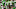DraftKings DraftKings