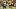 Kansas City Chiefs tight end Kansas City Chiefs tight end