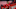 Trent Alexander-Arnold of Liverpool Trent Alexander-Arnold of Liverpool