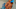Screen-Shot-2022-06-15-at-1-31-40-PM Screen-Shot-2022-06-15-at-1-31-40-PM