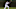 Addison Russell Chicago Cubs