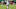 PORTLAND, OREGON – MARCH 26: Marta #10 of the Orlando Pride controls the ball during the first half against the Portland Thorns FC. at Providence Park on March 26, 2023 in Portland, Oregon. (Photo by Soobum Im/Getty Images) PORTLAND, OREGON – MARCH 26: Marta #10 of the Orlando Pride controls the ball during the first half against the Portland Thorns FC. at Providence Park on March 26, 2023 in Portland, Oregon. (Photo by Soobum Im/Getty Images)