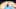 Charlotte Hornets Charlotte Hornets
