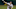 ST LOUIS, MO ā OCTOBER 26: Jake Peavy (Photo by Pool/Getty Images) ST LOUIS, MO ā OCTOBER 26: Jake Peavy (Photo by Pool/Getty Images)