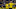 DORTMUND, GERMANY – FEBRUARY 01: Erling Braut Haaland celebrates scoring the goal to the 2:0 during the Bundesliga match between Borussia Dortmund and 1. FC Union Berlin at the Signal Iduna Park on February 01, 2020 in Dortmund, Germany. (Photo by Alexandre Simoes/Borussia Dortmund via Getty Images)