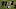 Noel Devine has elite speed and quickness. Noel Devine has elite speed and quickness.