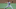 Phillies Anibal Sanchez Phillies Anibal Sanchez