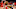 Indiana Pacers v Washington Wizards