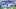 LEXINGTON, KY – SEPTEMBER 09: Josh Allen LEXINGTON, KY – SEPTEMBER 09: Josh Allen