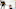 New Jersey Devils New Jersey Devils