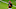 Madden 23 Madden 23