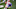 Chicago Bears, Elijah Mitchell Chicago Bears, Elijah Mitchell