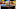 Animal Crossing mobile Animal Crossing mobile