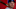 (Photo by Jamie Schwaberow/Getty Images) – Los Angeles Dodgers Chase Utley
