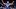 Evan Fournier, Orlando Magic Evan Fournier, Orlando Magic