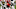 Kansas City Chiefs receiver Tyreek Hill Kansas City Chiefs receiver Tyreek Hill