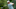 Charley Hoffman DraftKings the Northern Trust Charley Hoffman DraftKings the Northern Trust