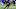 Dallas Cowboys Dallas Cowboys