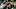 2021 NFL Draft, Azeez Ojulari 2021 NFL Draft, Azeez Ojulari
