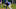 Eric Hosmer, Cubs Eric Hosmer, Cubs