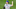 Toronto Blue Jays
